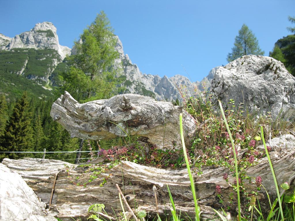 Apartmán Hausmenneweger Annaberg im Lammertal Pokoj fotografie