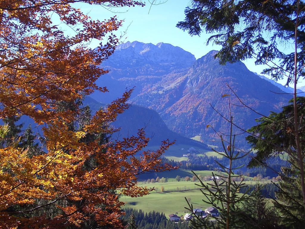 Apartmán Hausmenneweger Annaberg im Lammertal Pokoj fotografie